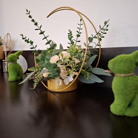 Apartament Aleea Minerva Brasov Ngoại thất bức ảnh