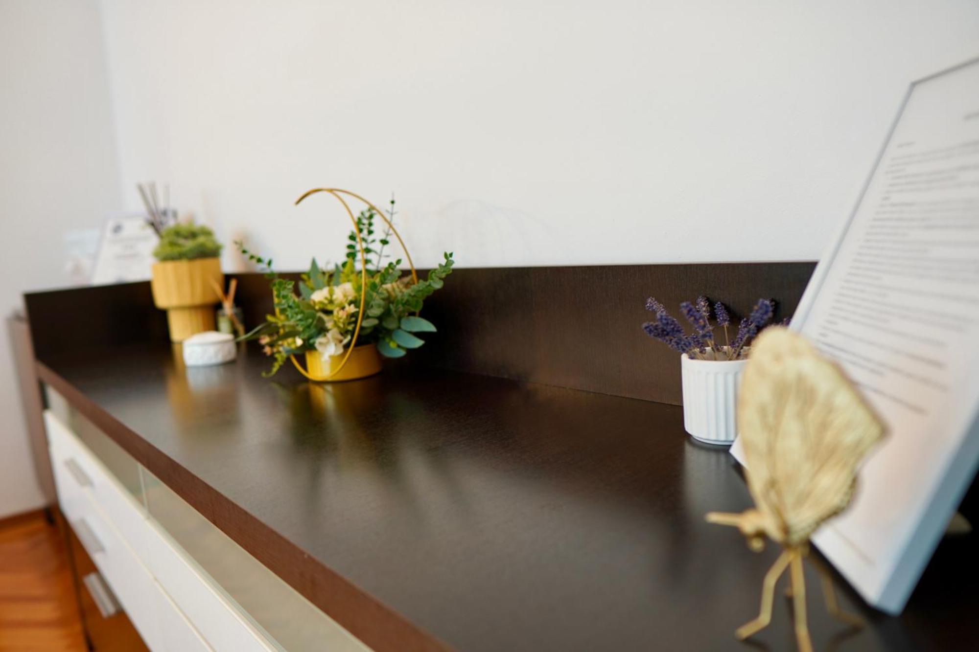 Apartament Aleea Minerva Brasov Ngoại thất bức ảnh