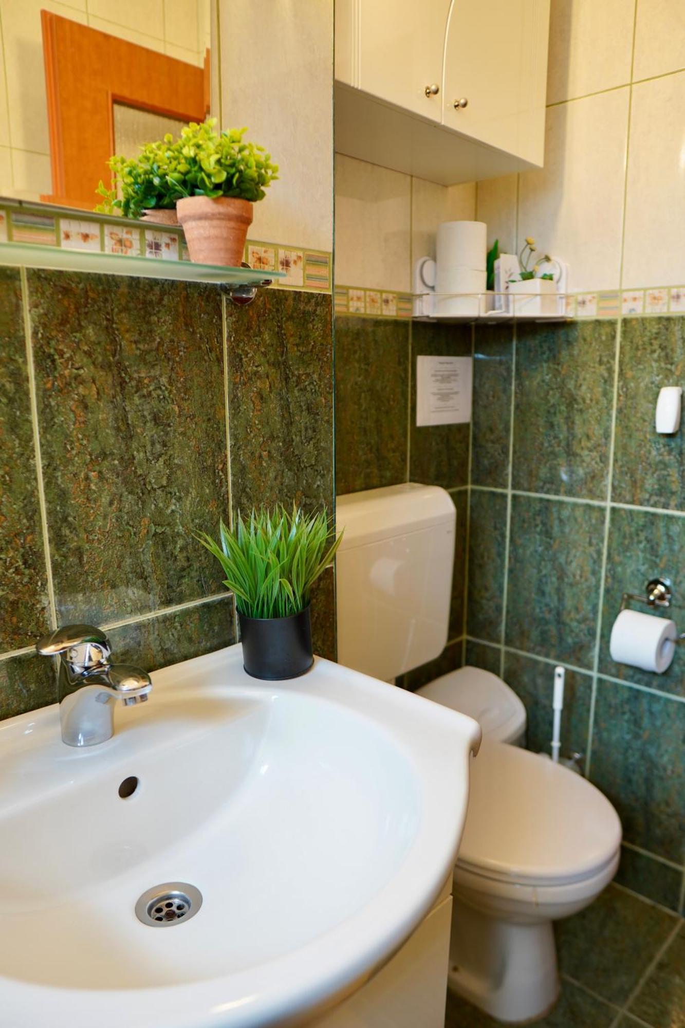 Apartament Aleea Minerva Brasov Ngoại thất bức ảnh